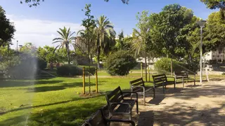 Los parques metropolitanos se preparan para futuras sequías extremas con praderas floridas y mejoras del terreno