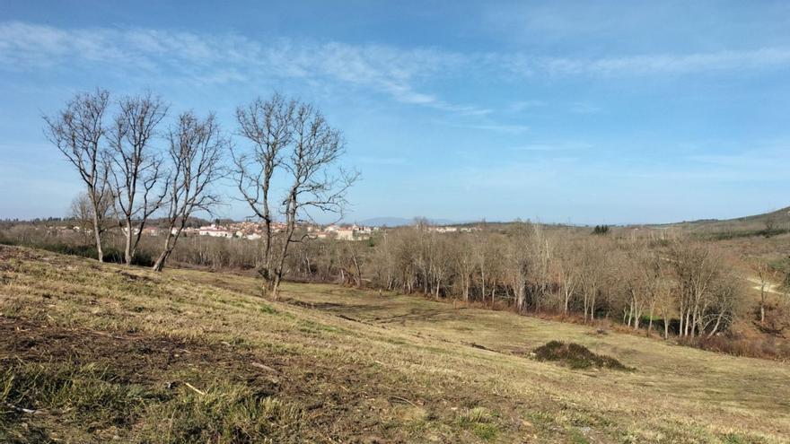 Ourense suma ya 20 polígonos agroforestales y lidera la recuperación de tierra agraria en Galicia