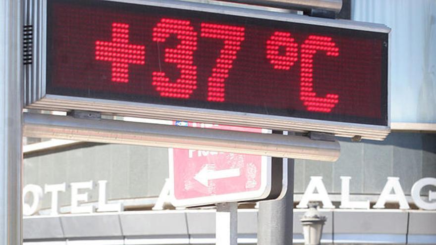 Terral. Los termómetros marcaron el fin de semana 37 grados.