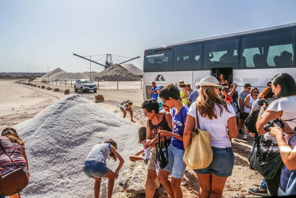 En torno a medio centenar de turistas estrenaron las visitas guiadas a las salinas de Torrevieja, que pretenden normalizarse el verano que viene