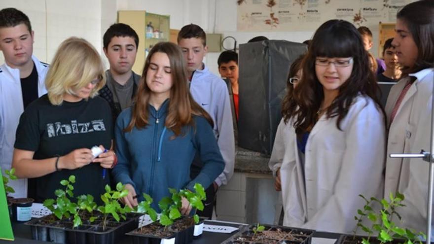 Fira del Medi ambient a l&#039;IES Manacor