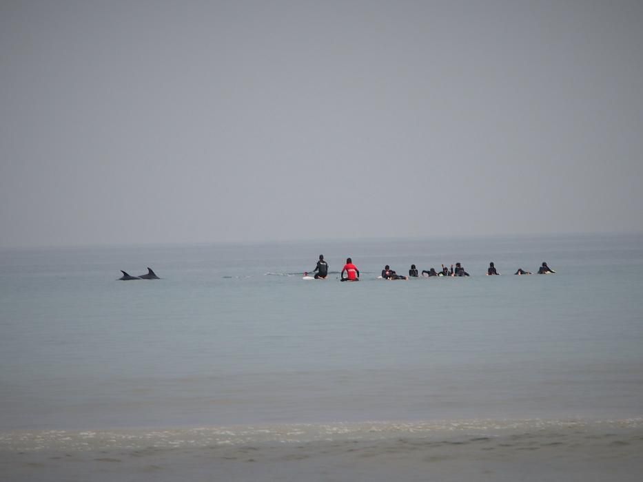 Alumnos de Los Pericones en San Lorenzo con los delfines