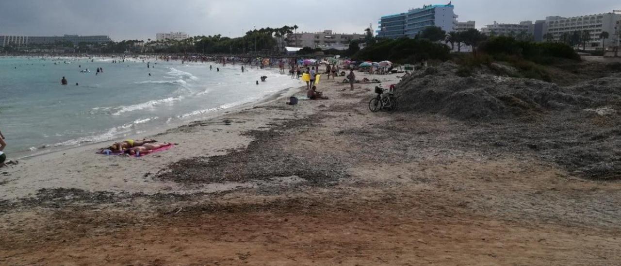 En este punto de la playa de sa Coma se ubica la fosa que contiene los restos de mÃ¡s de 400 milicianos catalanes.