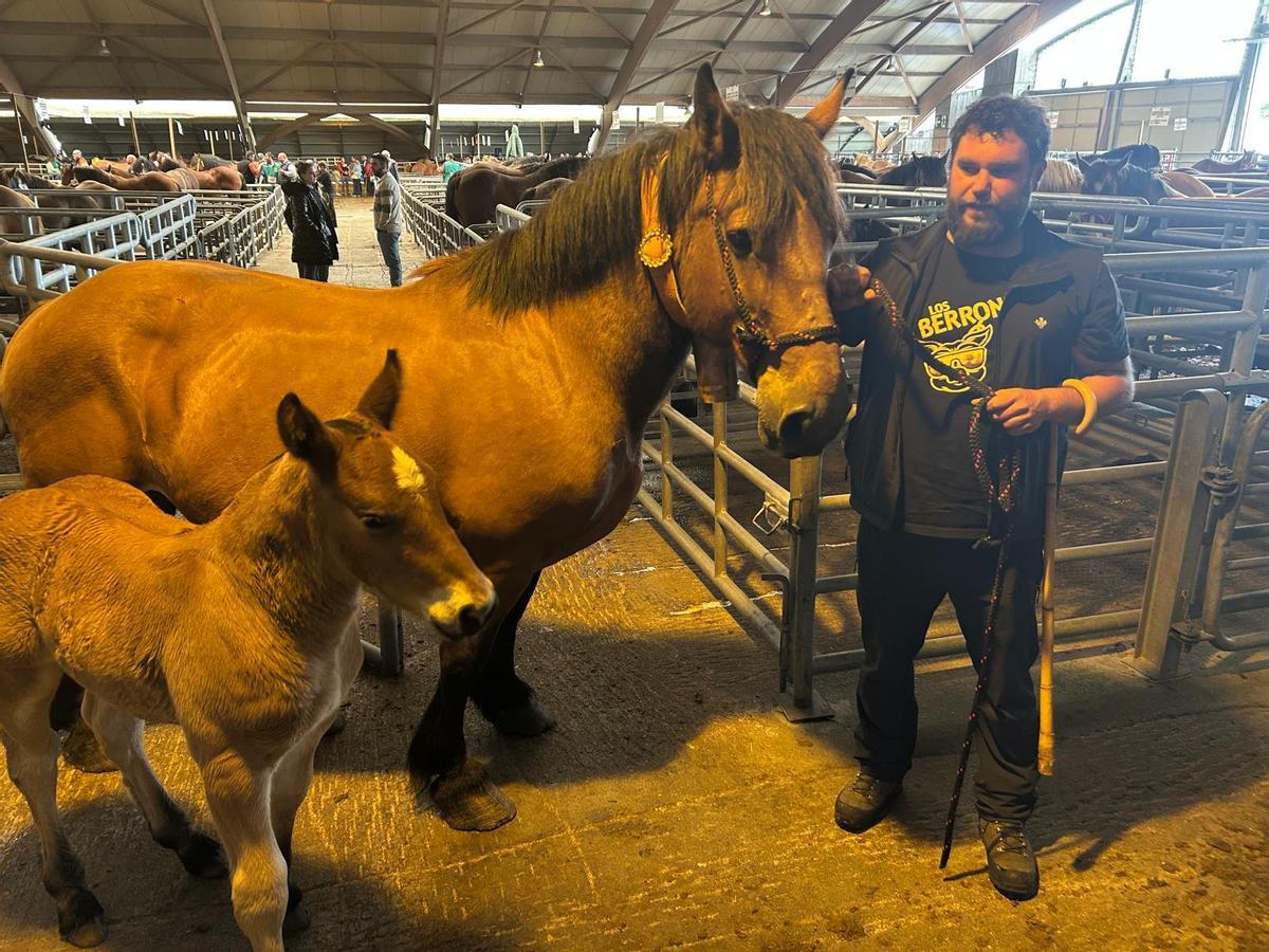EN IMÁGENES: Concurso de Ganado Equino de la Montaña Asturiana en Pola de Siero EN IMÁGENES: Concurso de Ganado Equino de la Montaña Asturiana en Pola de Siero