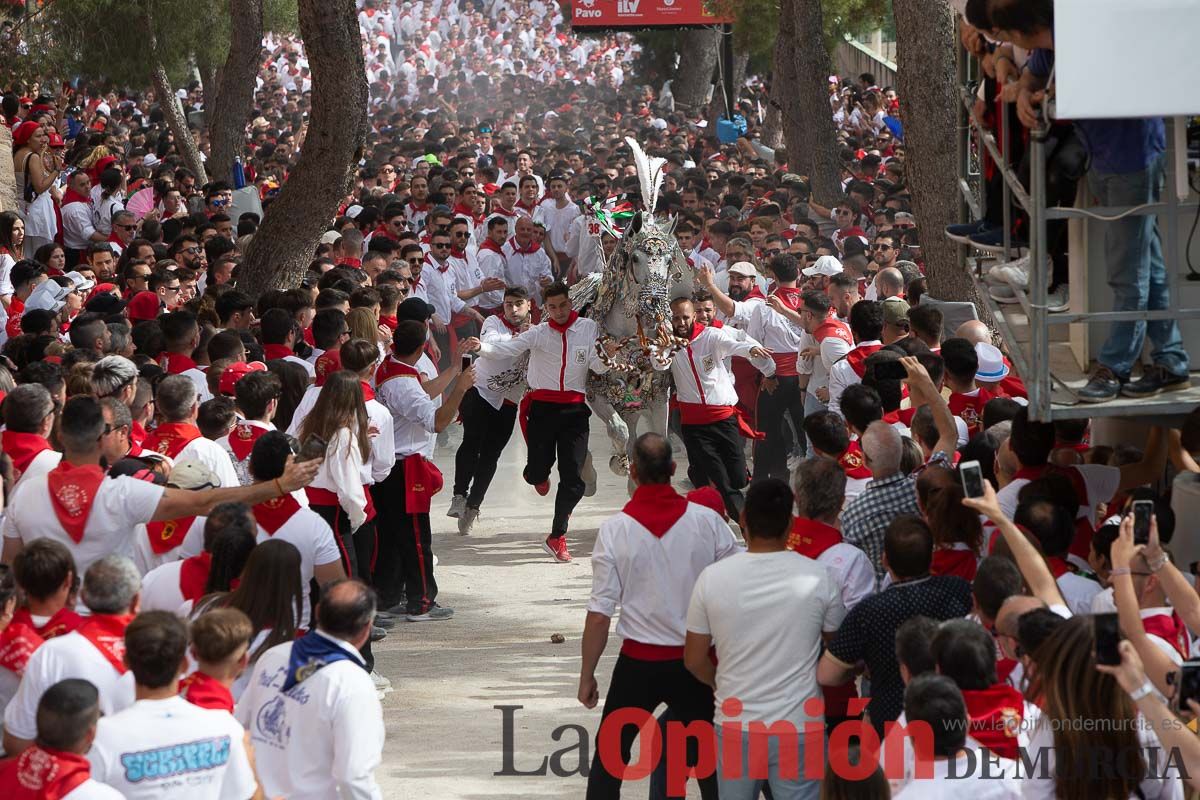 Así ha sido la carrera de los Caballos del Vino en Caravaca