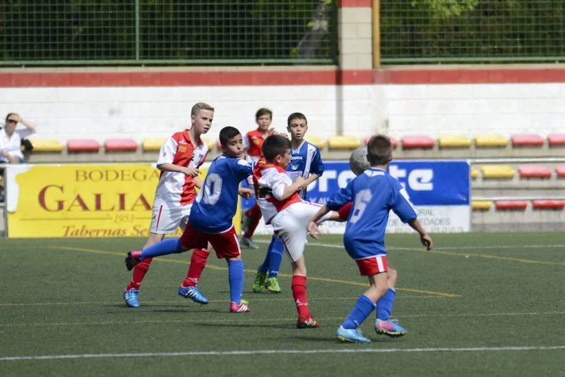 FÚTBOL: Hernán Cortés - San Gregorio (1ª Alevín grupo 2)