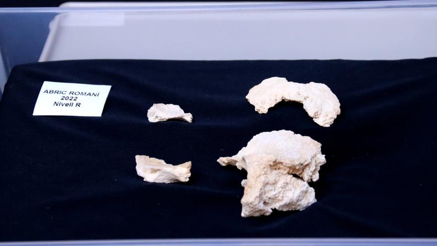 Apareixen fragments d&#039;un crani de neandertal a l&#039;Abric Romaní, la primera resta humana després de 40 anys d&#039;excavacions