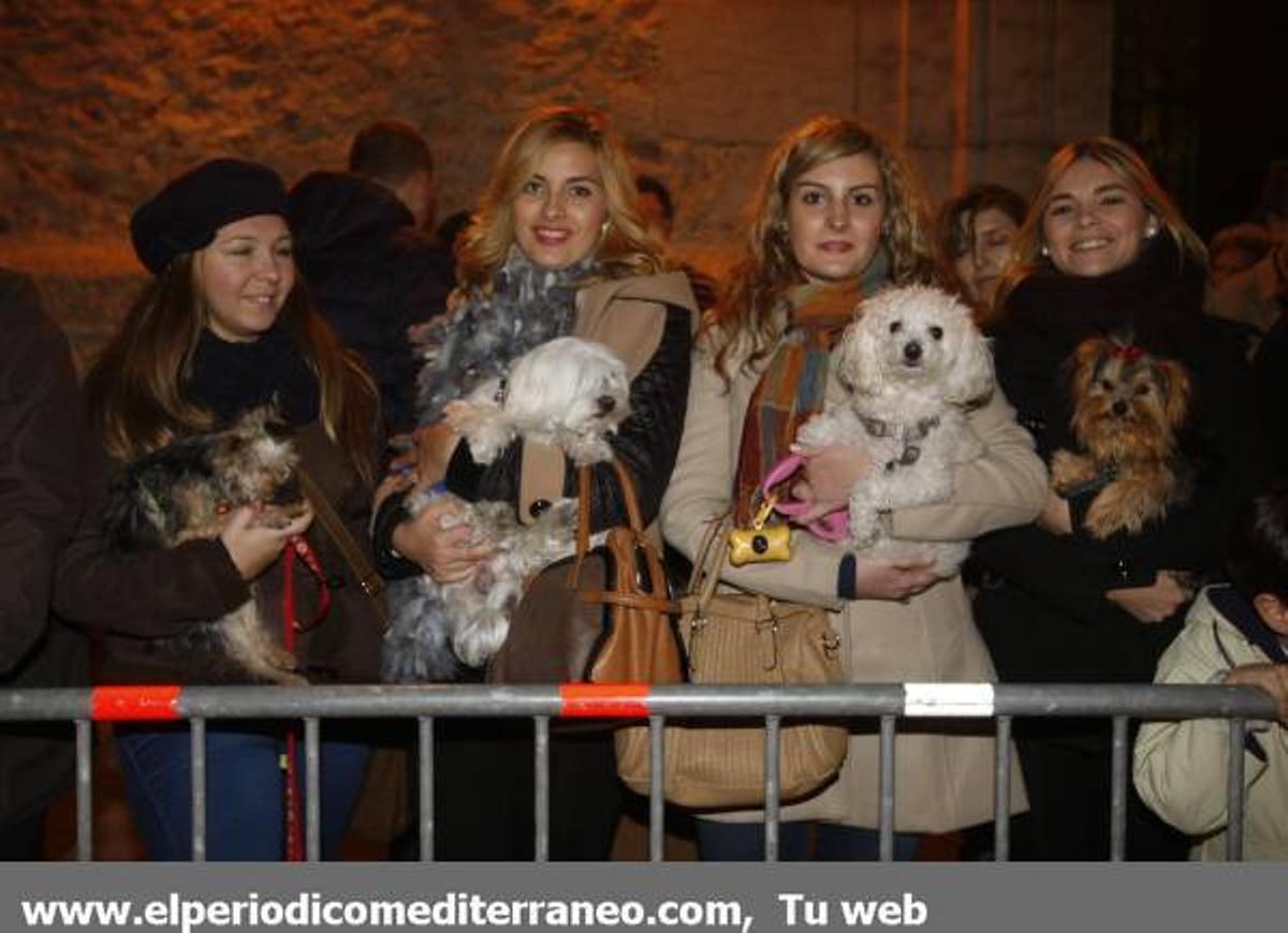 GALERÍA DE FOTOS - Matxa de Sant Antoni Alamassora
