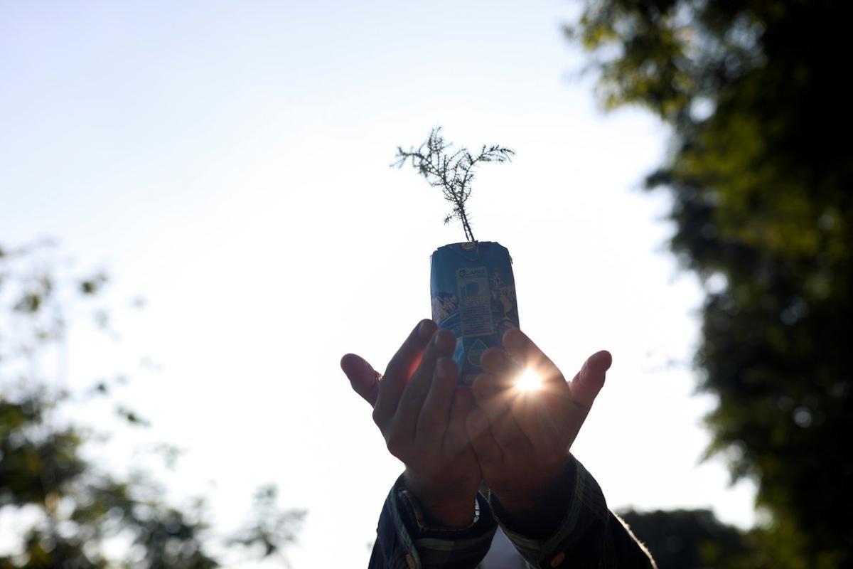 Rodrigo Gedankien, 33, co-founder of Agua na Caixa (Water on the box) holds one of the firsts seedlings the company will plant as part of an online campaign during the Earth Day in Sao Paulo, Brazil, April 22, 2020. REUTERS/Amanda Perobelli