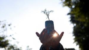 Rodrigo Gedankien, 33, co-founder of Agua na Caixa (Water on the box) holds one of the firsts seedlings the company will plant as part of an online campaign during the Earth Day in Sao Paulo, Brazil, April 22, 2020. REUTERS/Amanda Perobelli