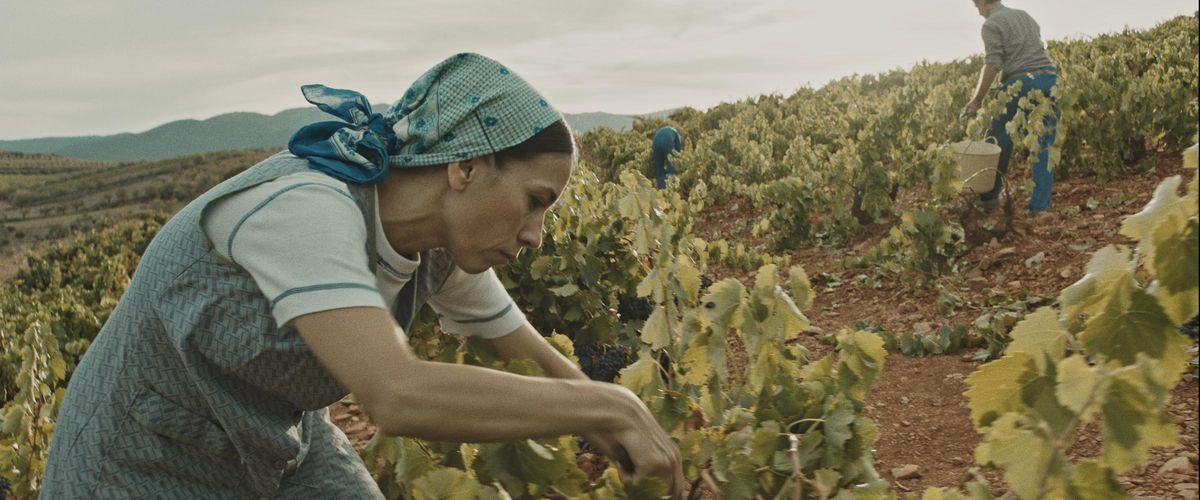 La actriz zaragozana Itziar Miranda, conocida por sus papeles en 'Amar en tiempos revueltos' y 'Amar es para siempre', tomará uno de los papeles protagonistas en la película.