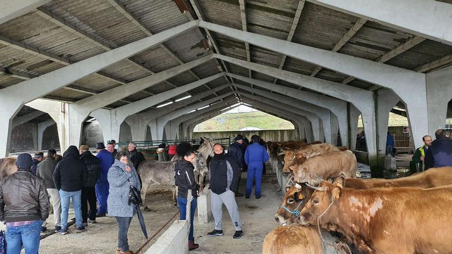 Ganaderos y compradores acudieron a la feria de Castro Caldelas.   | // FDV