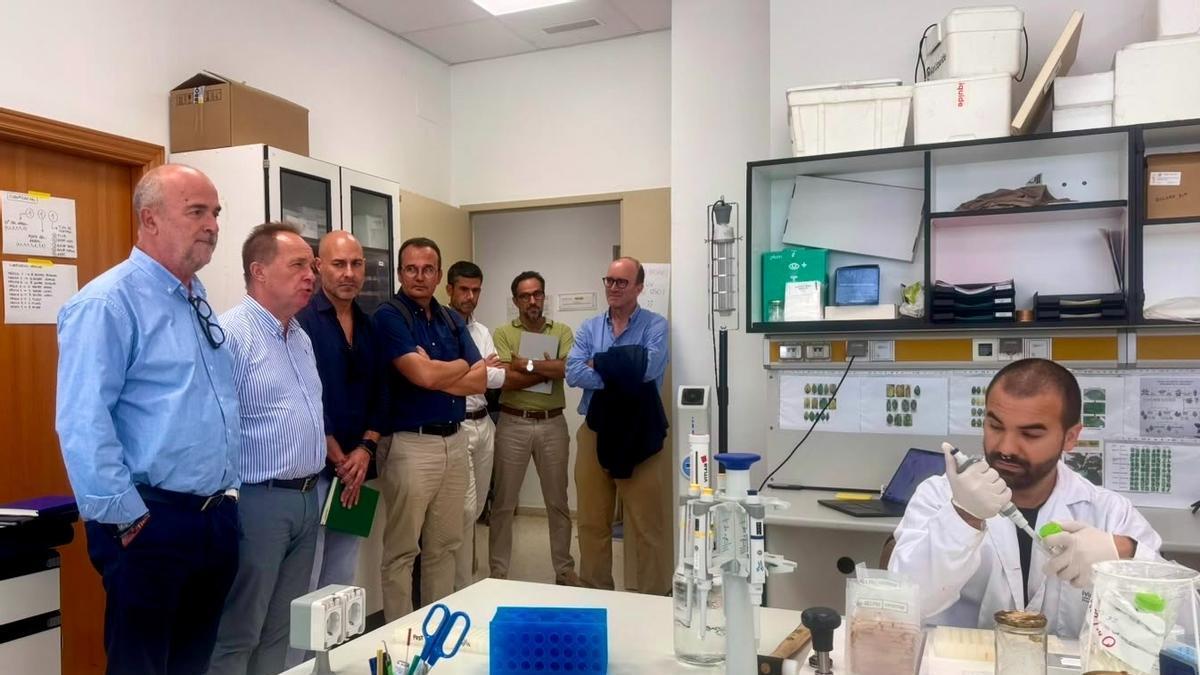 El director del Imida, Andrés Martínez, junto ak director general de Agricultura y PAC y responsables del IVIA.