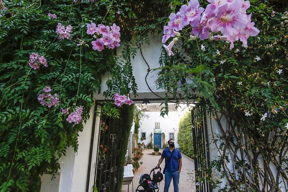 Viana, un palacio de puertas Abiertas