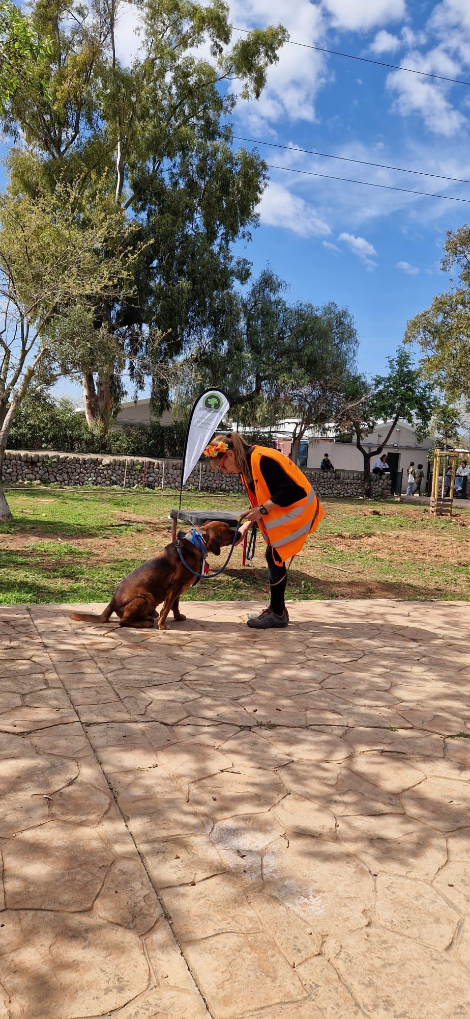 Así ha sido el desfile de Peluditos de Son Reus: Decenas de perros buscan un hogar en Mallorca