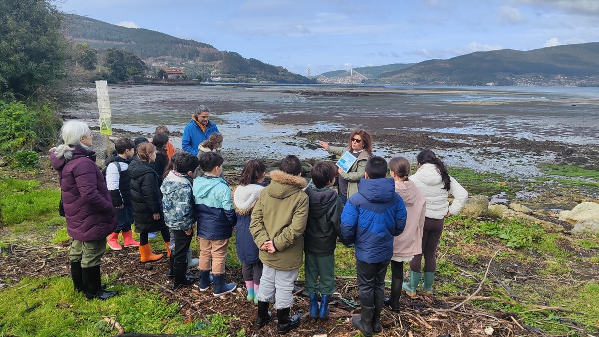 Los alumnos del colegio de Reboreda durante la actividad.
