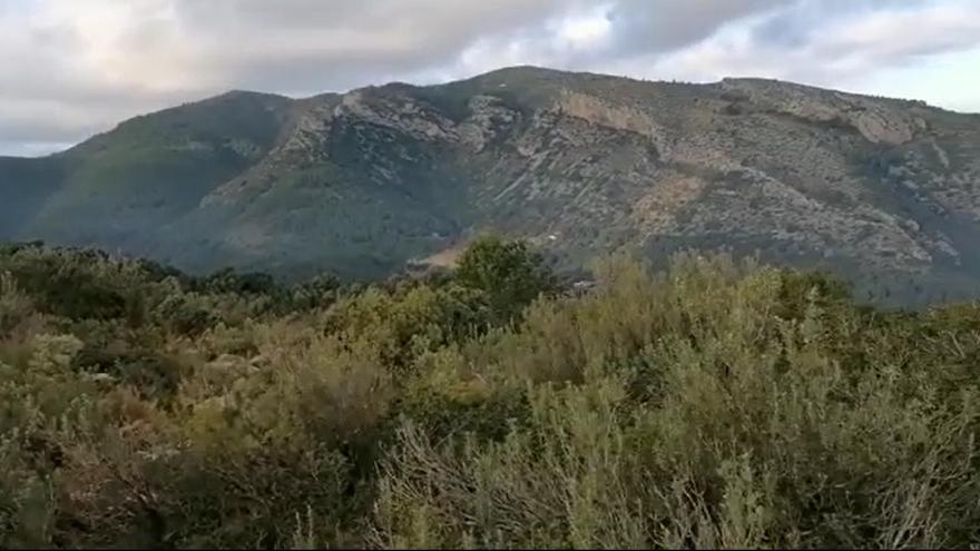 El Desert de las Palmes es un paraje natural donde está prohibida la caza a excepción de actuaciones puntuales para la gestión de especies.