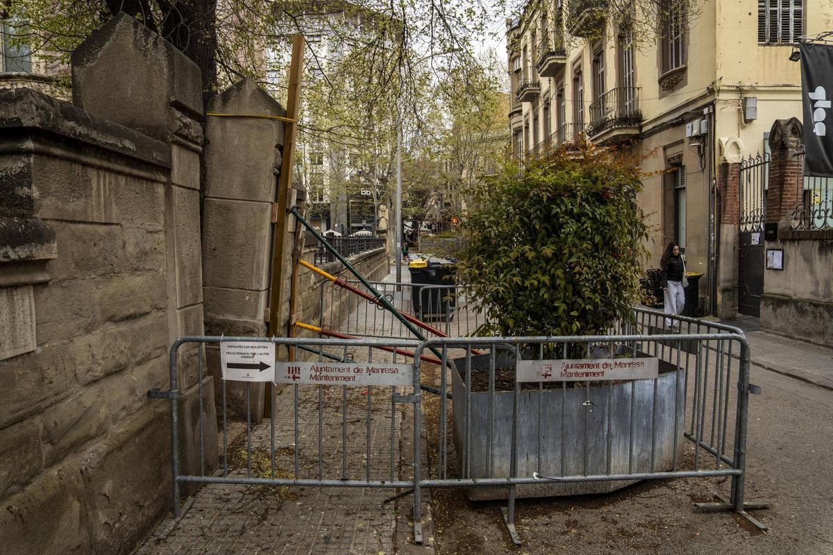 El tour de force entre l’arbre i el mur vist des del carrer Arquitecte Oms