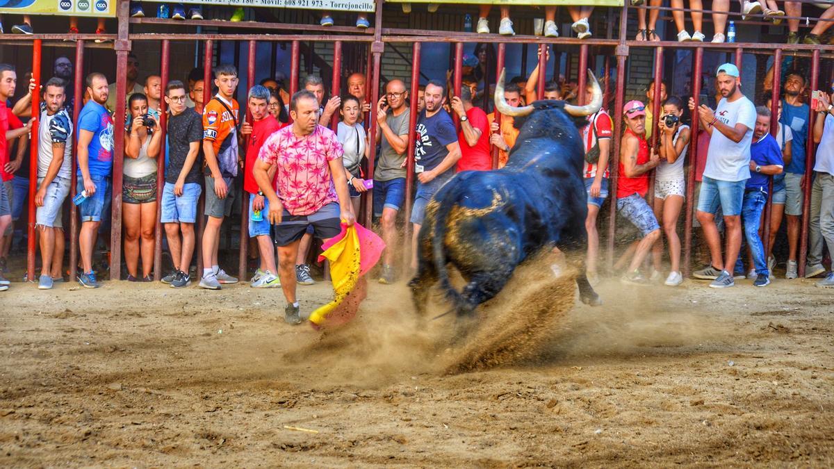 Toros de agosto en Torrejoncillo