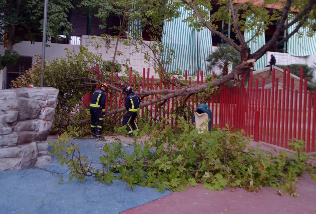 Los bomberos del Consorcio retiran un árbol caído en un parque.