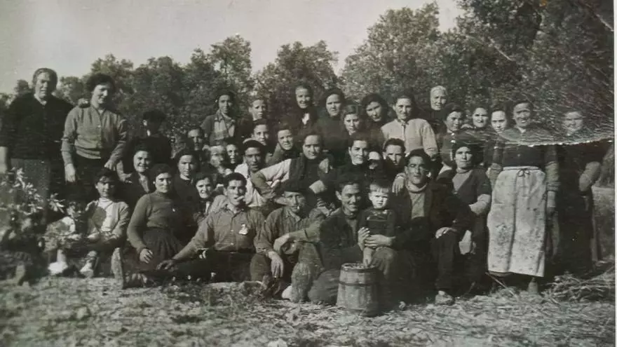 Cooperativa San Martín de Belchite: 75 años en defensa del olivar y la tierra
