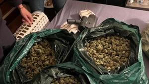 Diferents intervencions de la policia en plantacions  de marihuana en cases i naus de Catalunya. | JORDI PUJOLAR (ACN) / MOSSOS D’ESQUADRA 