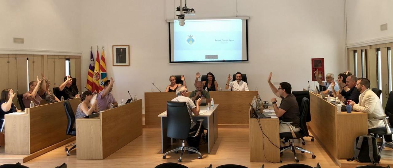 Un momento del pleno ordinario del Consell de Formentera. | CIF