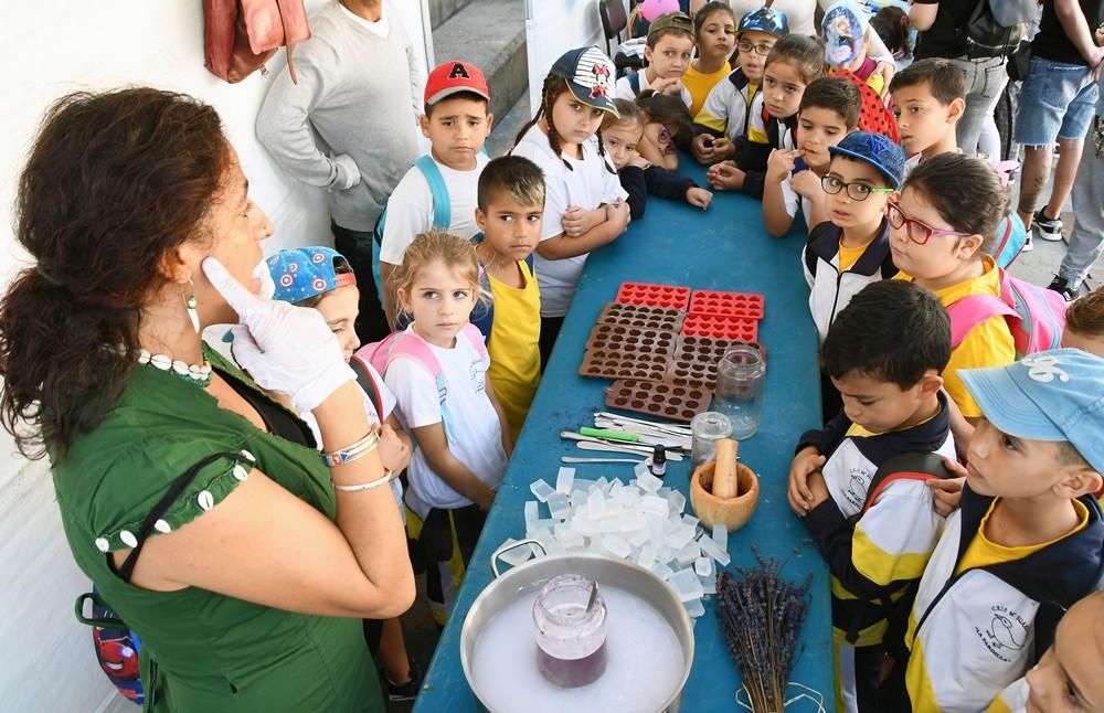 Feria de la Salud en Las Remudas