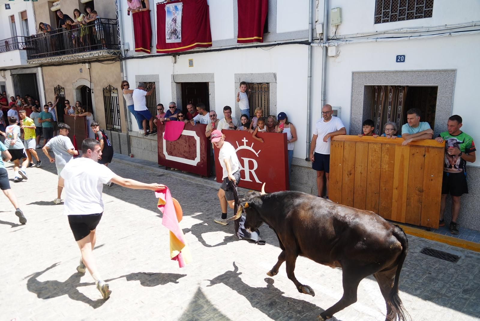 Gran ambiente, numeroso público y emoción en los encierros taurinos de El Viso