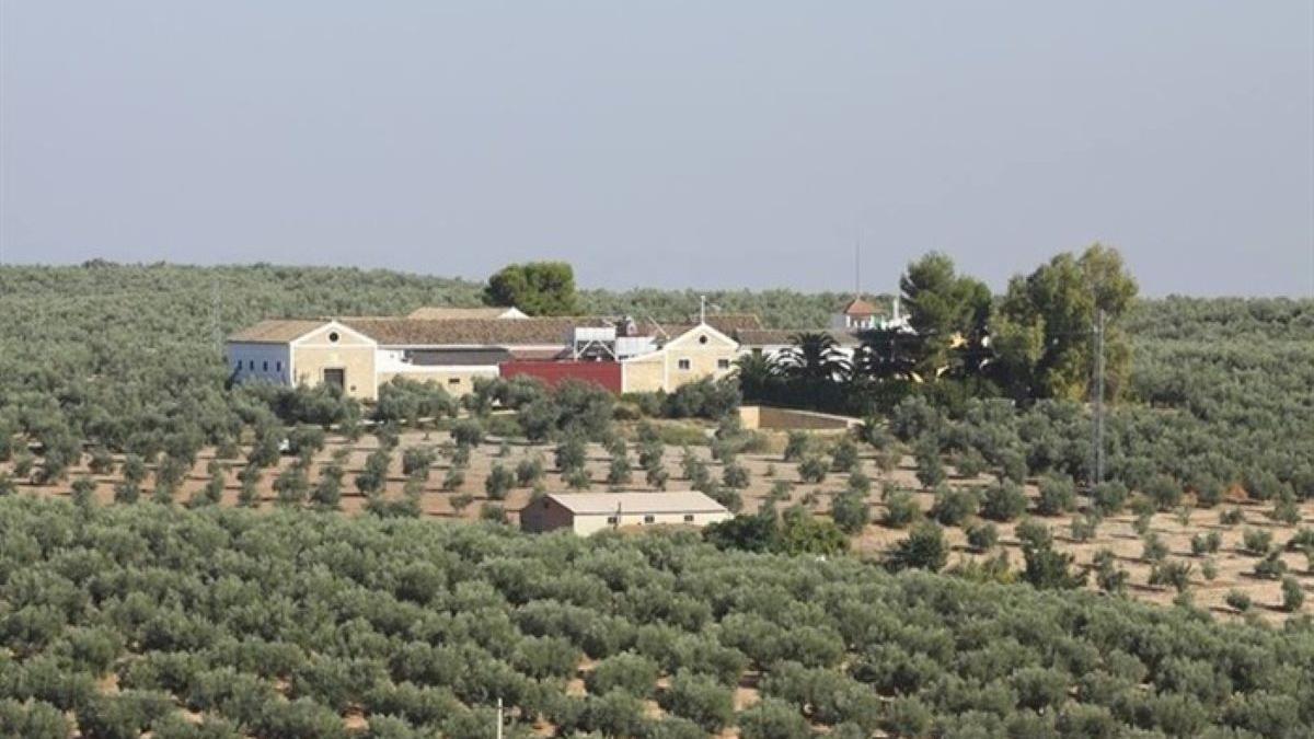 Instalaciones del Molino Juan Colín, en Montilla.