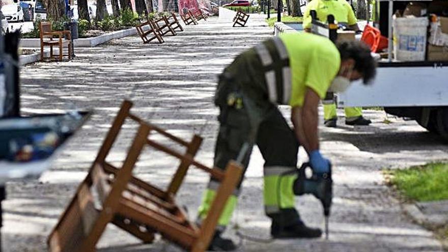 Varios operarios colocan bancos nuevos en el paseo de la Avenida Infante Juan Manuel de Murcia.