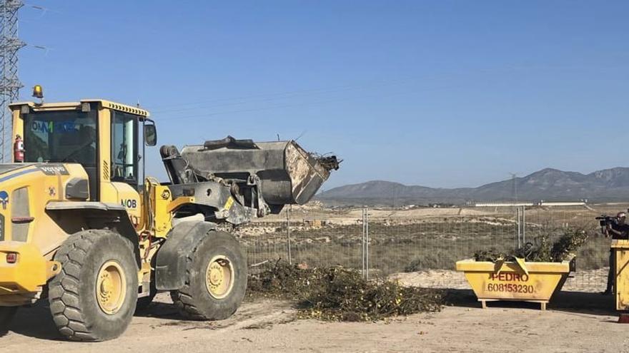 Las quemas de podas en Lorca deberán comunicarse un mes antes de realizarlas