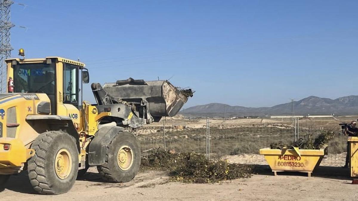 Una excavadora traslada material de podas a contenedores en el Centro de Residuos Sólidos de Barranco Hondo.