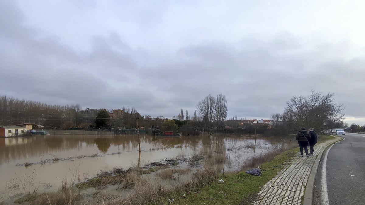 Inundación de la zona de las huertas el pasado mes de febrero, donde mañana se llevará a cabo el simulacro.
