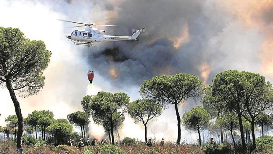 España vive el segundo peor año de la década en incendios forestales