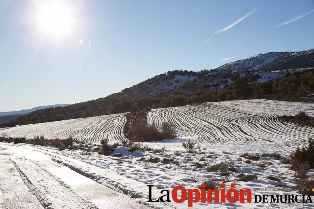 Nieve en Revolcadores