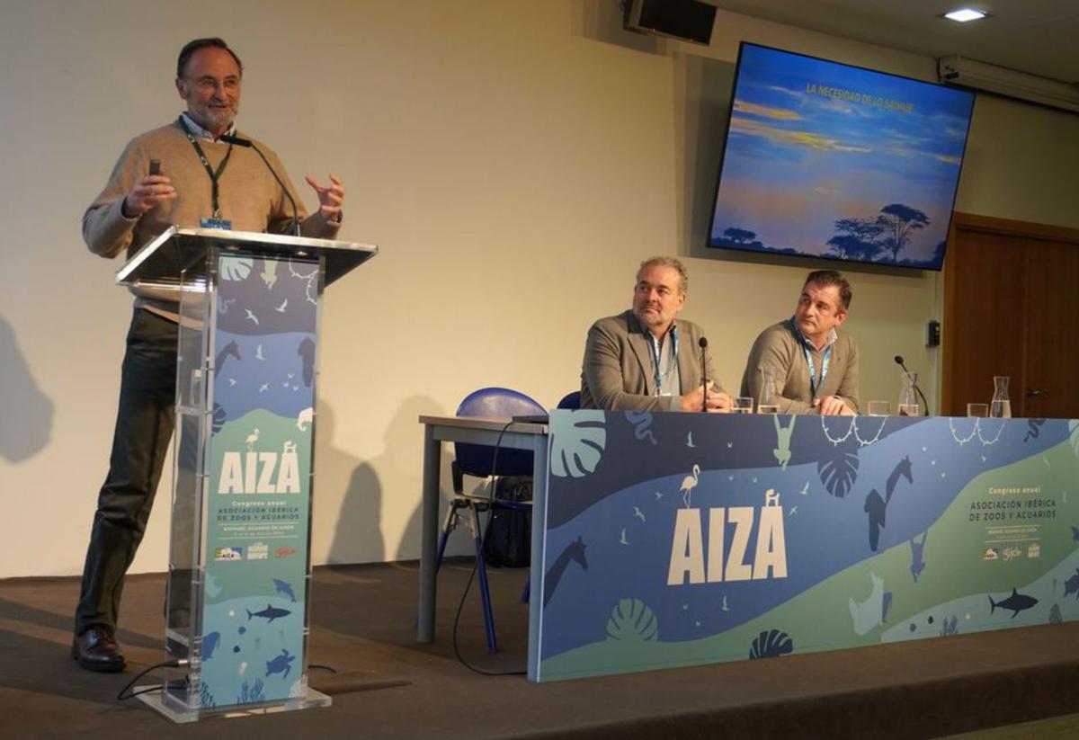 Por la izquierda, Fernando González Sitges, Javier Almunia y Alejandro Beinet, ayer, en la inauguración.