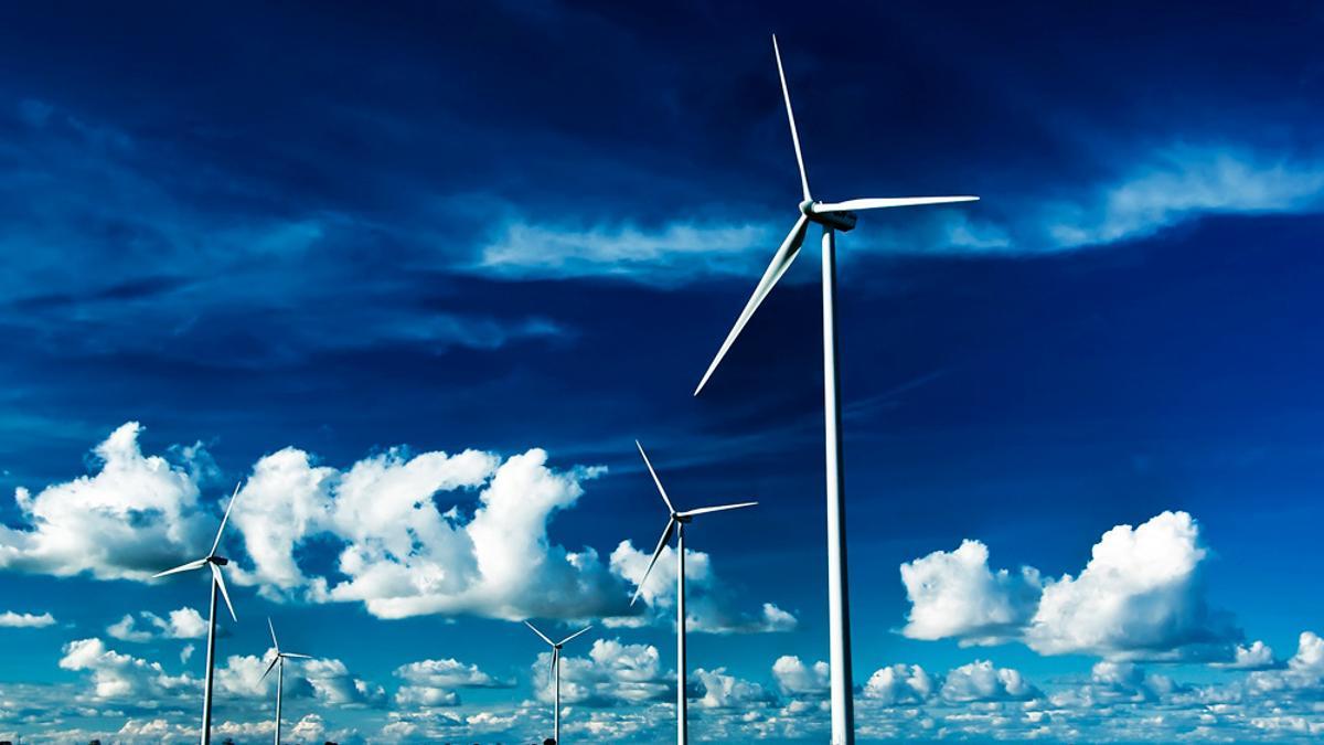 Un parque de energía eólica.