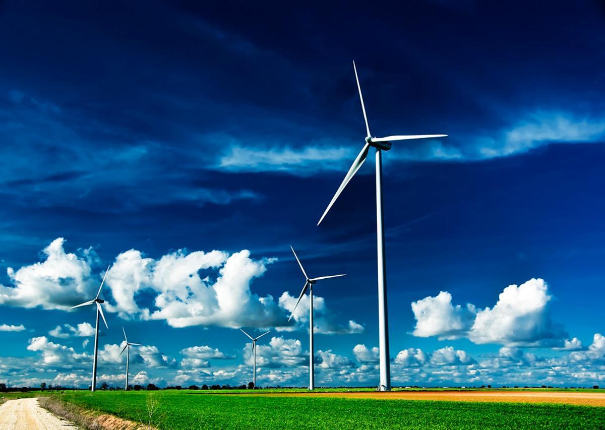 Un parque de energía eólica.