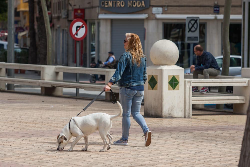 Vecinos de la avenida de la Libertad critican la falta de inversión en el mobiliario.