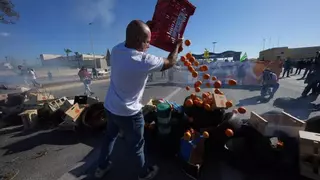 Precios de escándalo para la naranja que viene de Egipto: solo 51 céntimos el kilo