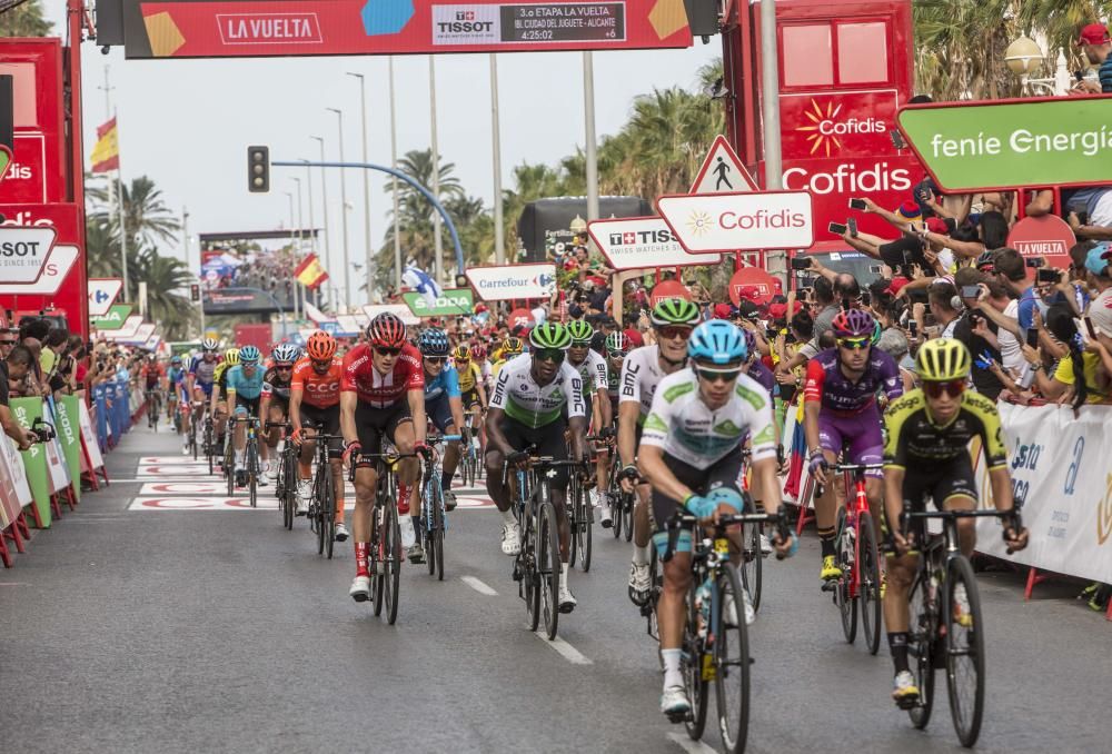 Llegada a Alicante de la tercera etapa de la Vuelta