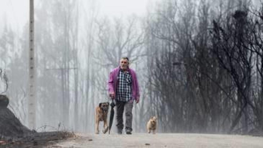 Un home passeja per la zona de Moces.