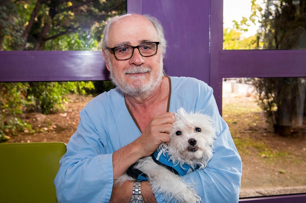 Algunos estudios apuntan que esta medida mejora el estado de ánimo y la estimulación motora de los pacientes.