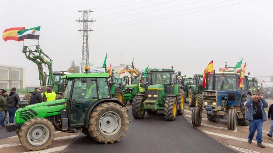 Convocada una tractorada en Agroexpo para recibir al ministro de Agricultura