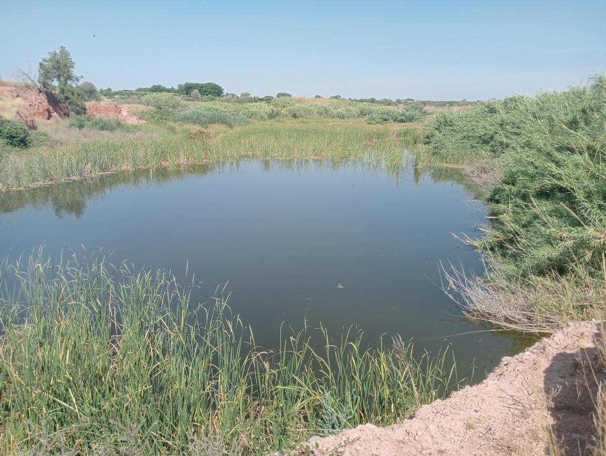 Laguna en el barranc del Carraixet.