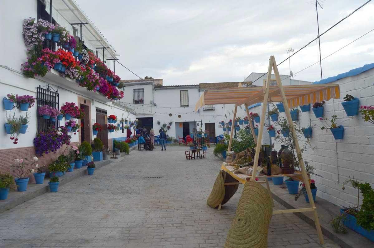 Las 'Calles en flor' de Cañete de las Torres