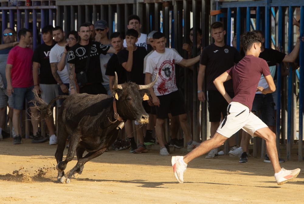 Jueves de vaquillas en las fiestas de Sagunt