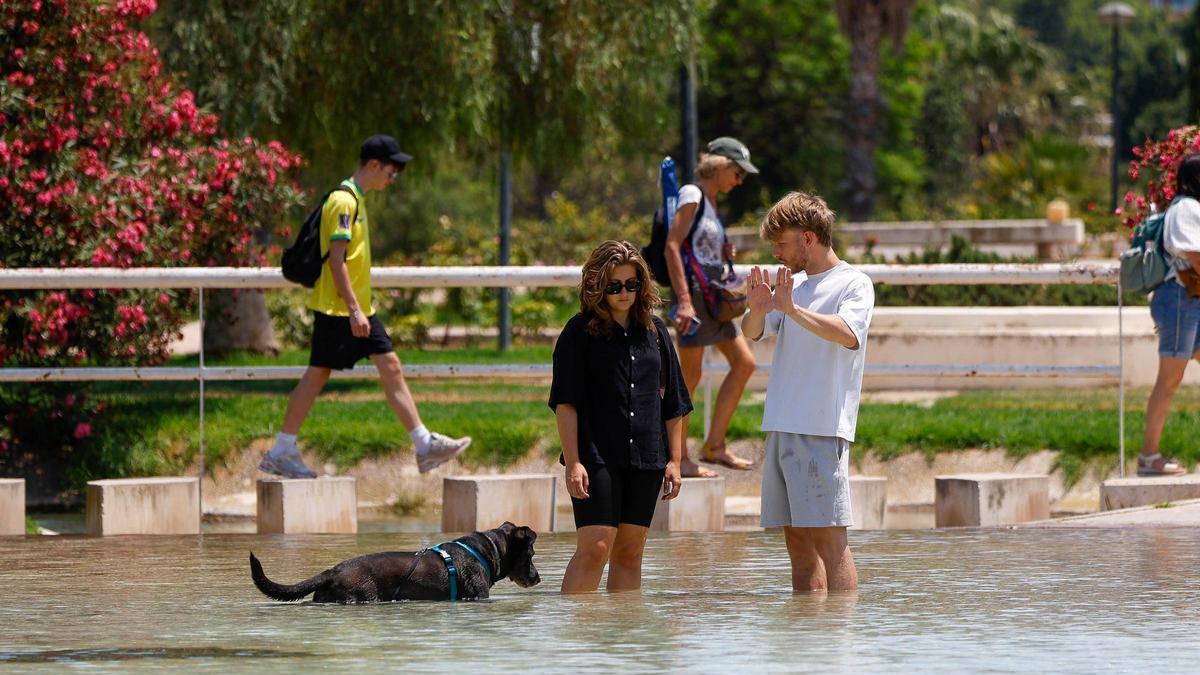 Dos personas y un perro se refrescan en un lago del Jardín del Túria de València.