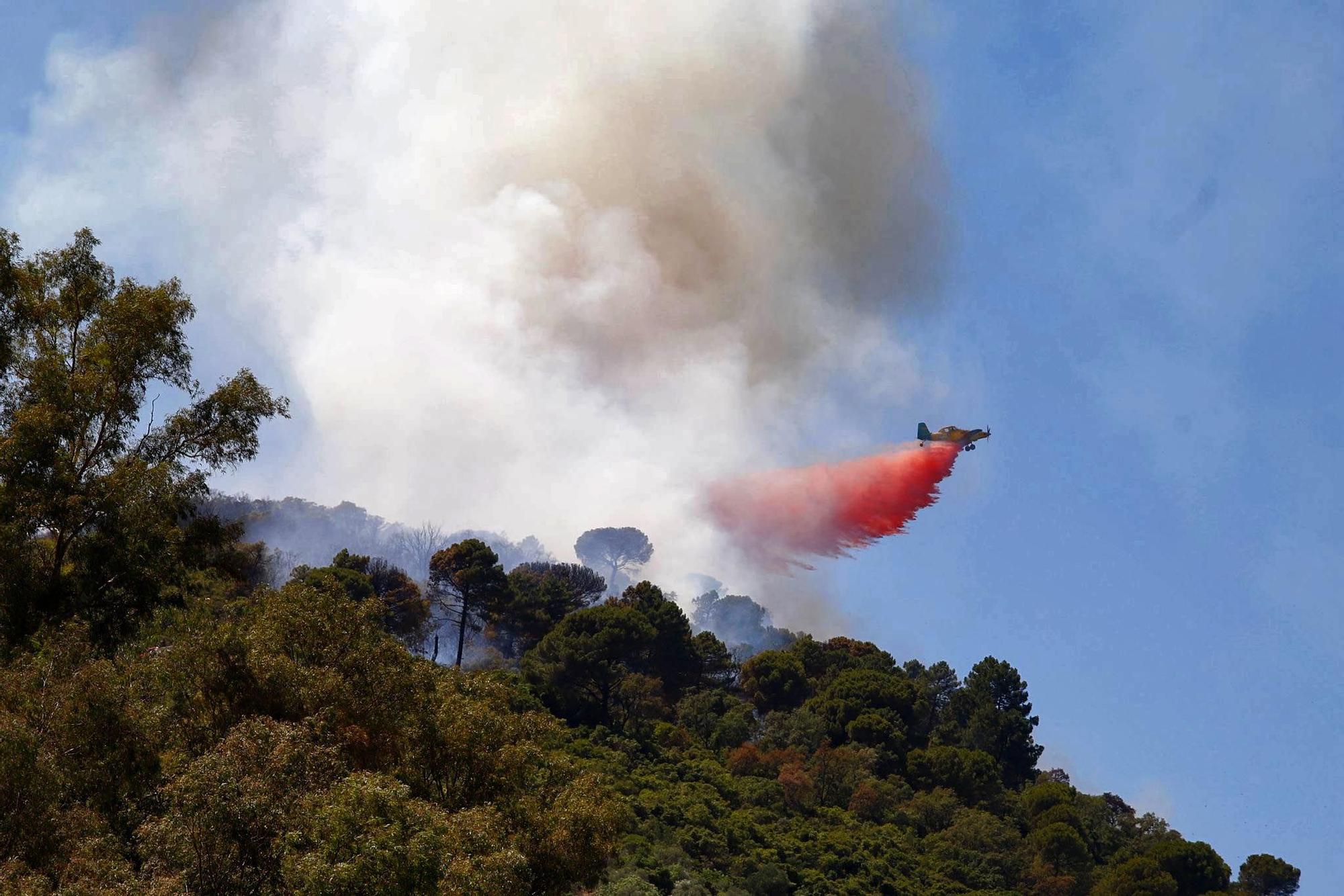 Incendio forestal en la sierra de Córdoba